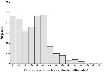 Fig. 1. Frequency distribution of time interval from last calving to culling in 9 dairy herds in Fars province, Southern Iran (2005-2006)