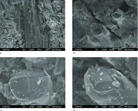 Fig. 10.  SEM photos of; (a) vertical cut of the drill holes and  (c) view surfaces of drilled GFRP samples under different magnifications