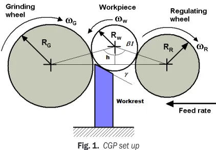 Fig. 1.  CGP set up