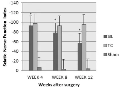 Fig 2. Diagrammatic representation of effects on the sciatic nerve function index (SFI)