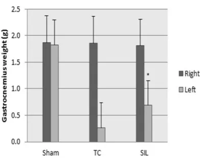Table 1.  Morphometric analyses of regenerative nerves for each of the experimental groups: values are given as mean ± SD 