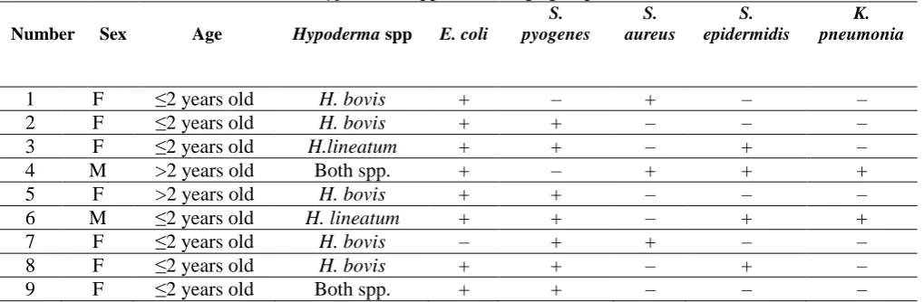 Table 1. The frequency of Hypoderma larvae on the infested cattle, in North of Iran  