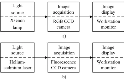 Fig. 1.  Image-acquisition process in the bronchoscopy;a) white light, b) blue light and the autofluorescence mode