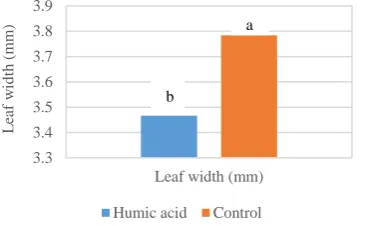 Fig. 3. The effect of humic acid on leaf width of tall fescue. Same letter in each column indicates non-significant differences   