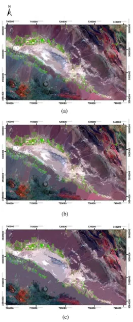 Fig. 2. Image segmentation using the scale levels of (a) 10 , (b) 30 and (c) 50 