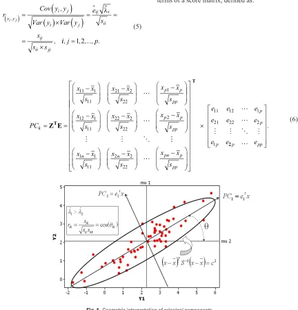 Fig. 1. Geometric interpretation of principal components