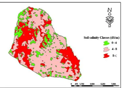 Fig. 5. Map of soil salinity extracted from BI index 