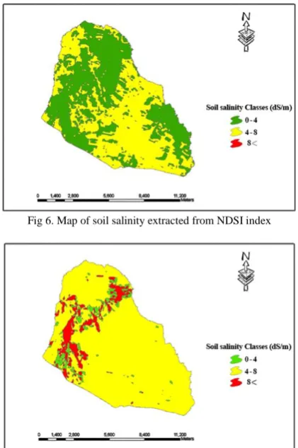 Fig 6. Map of soil salinity extracted from NDSI index  