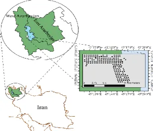Fig. 1. Location of the study area in Western Urmia Lake, Iran, and sampling strategy 
