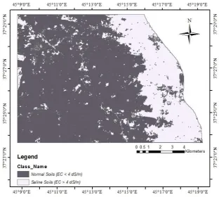 Fig. 6. Classification map of saline and non-saline soils using supervised classification and original bands of ETM+ data without  any data reduction algorithm 