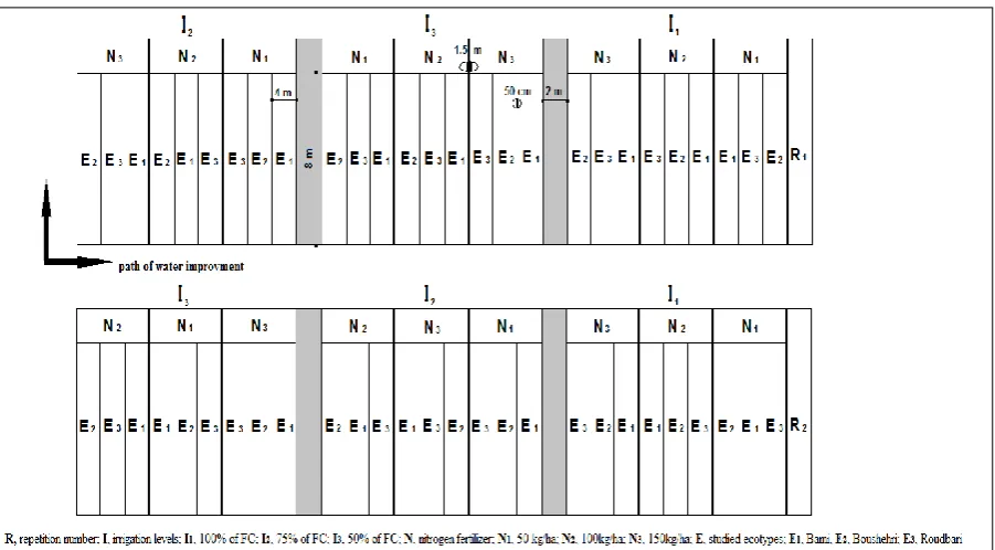 Fig. 2. Schematic figure of the plots 