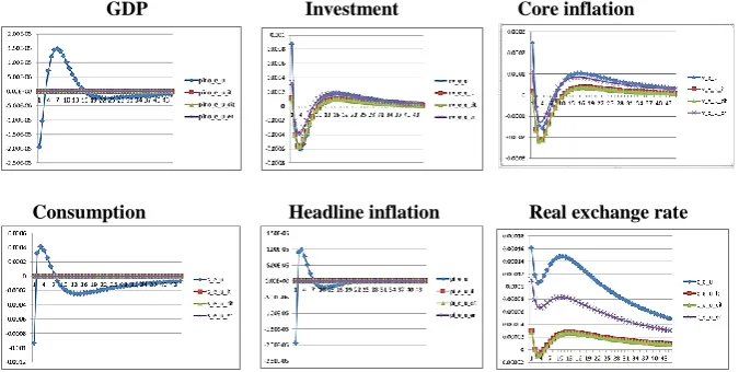 Figure 5: The Global Exchange Rate Shock on Macro Variables in the Form of Alternative Monetary Policy 