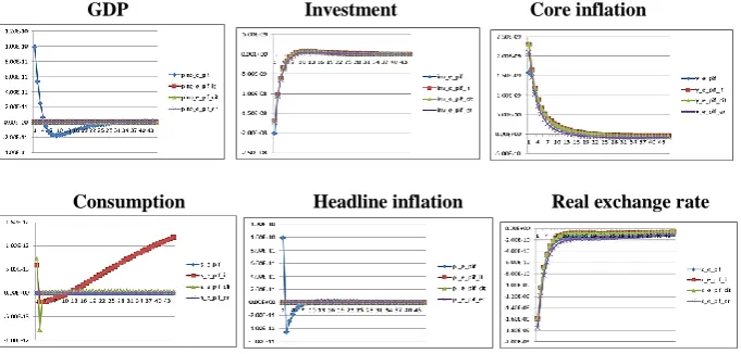 Figure 6: Impact of Global Inflation Shock on Macro Variables in the Form of Alternative Monetary Policy 