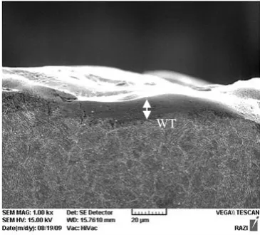 Fig. 2  SEM micrograph showing the white layer of EDMed workpiece (I=24A and Ti=50µs)
