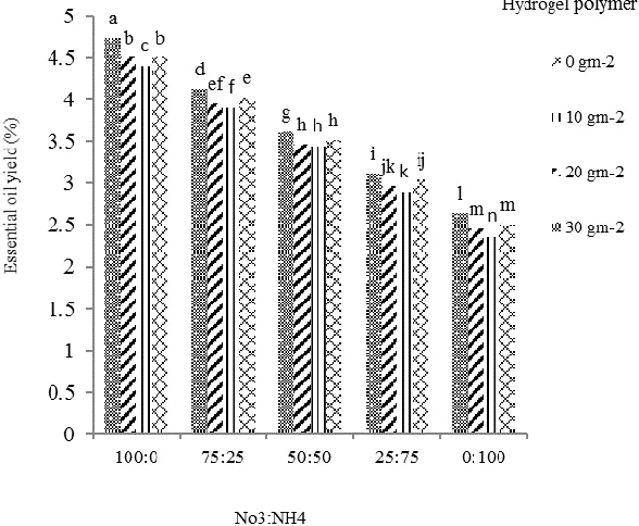 Fig. 2. Interaction effect of hydrogel polymer and NO3-:NH4+ ratio on dill essential oil percentage 