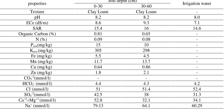 Table 2. Properties of surface (0-30 cm) and subsurface (30-60 cm) of studied soil before cultivation and irrigation waterSoil depth (cm)