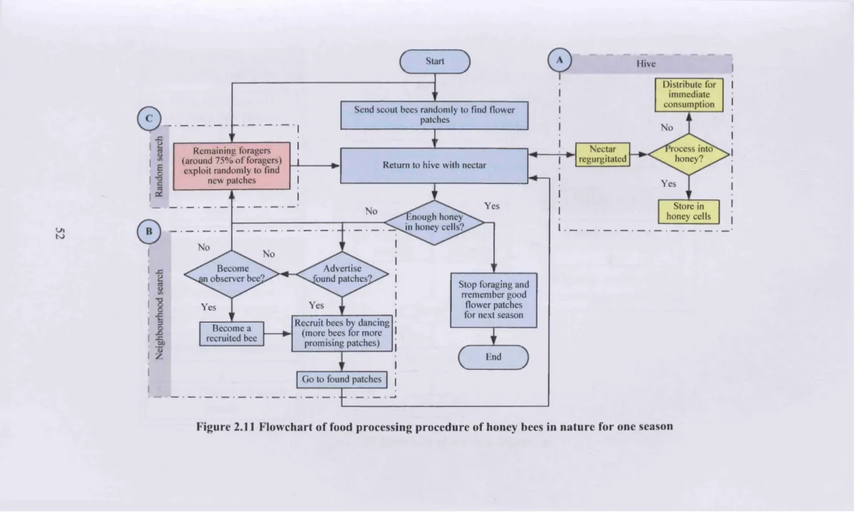 Figure  2.11  Flow chart o f food  processing procedure  o f honey  bees  in  nature  for one  season