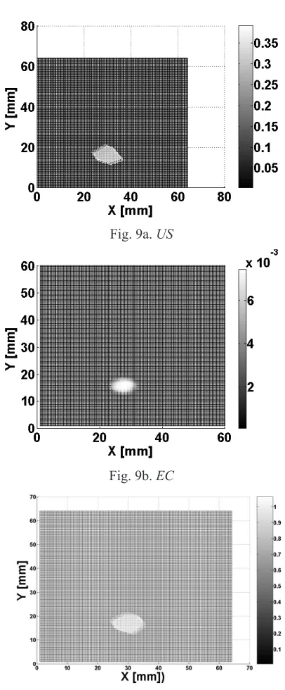 Fig. 9a. US