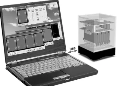 Fig. 21.  Flat array consisting of 16 x 16 coils working as 961 sensors covering an area of   38 x 44 mm