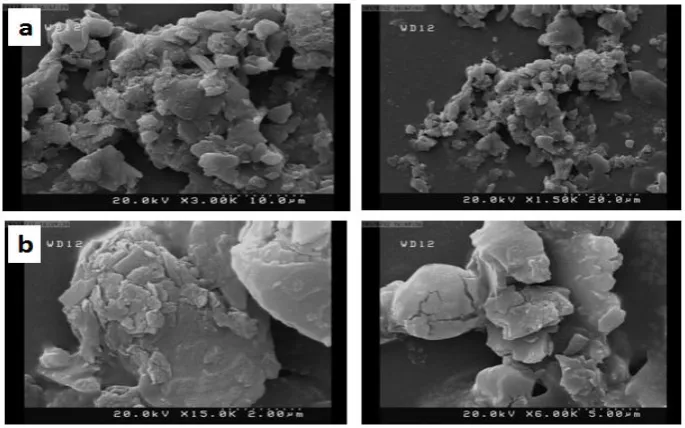 Fig. 2. SEM images of (a and b) ASS and (c) NSS 