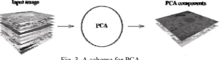 Fig. 3. A scheme for PCA 