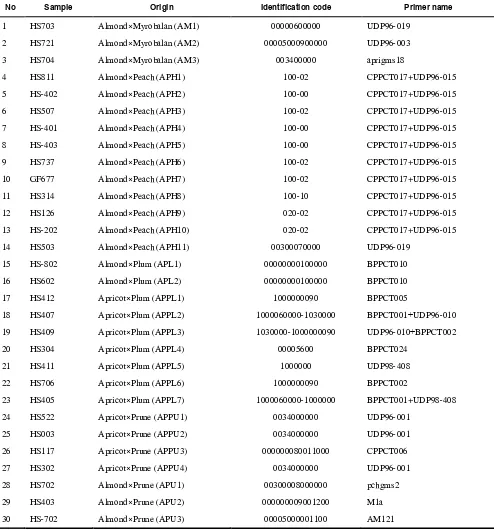 Table 2. Molecular identities generated from different primers for 30 Prunus rootstocks 