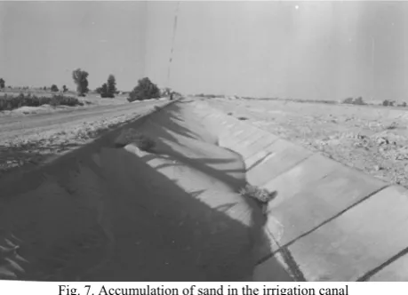 Fig. 7. Accumulation of sand in the irrigation canal 