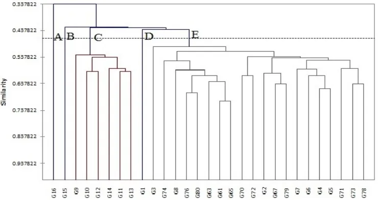 Figure 1. Dendrogram generated using UPGMA, showing relationships between 29 citrus genotypes based on morphological data