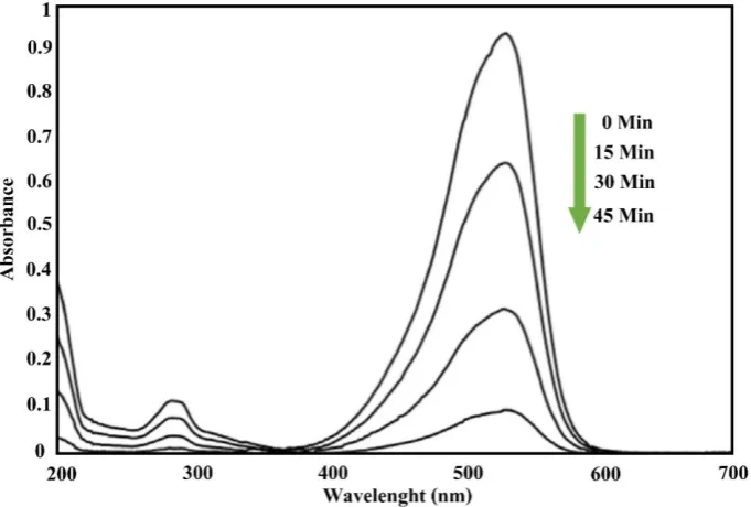 Fig. 8. graphical abstract for green synthesis of photocatalytic performance ofZn-TiO 2 via pomegranate as a green reducing agent and  Zn-TiO2 photocatalyst in AO7 degradation as an organic pollutant in water 