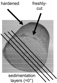 Fig. 7. PAW FSRM C-scan (200 kHz) of a carbon-composite specimen with aluminium (left) and Nomex (right) honeycomb core; teflon foils between core and CFRP liner and resin-filled core cells simulate production defects; specimen provided by FACC, Austria 