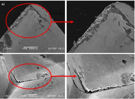 Fig. 1. Schematic image of cutting tool with BUE and BUL [18] 