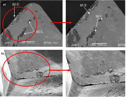 Fig. 3. BUE and BUL image of machining AA2014 (T4) alloys at 300 m/min cutting speed and 0.30 mm/rev feed rate: a) SEM image of tool rake face, b) 3D SEM image of the cutting tool 