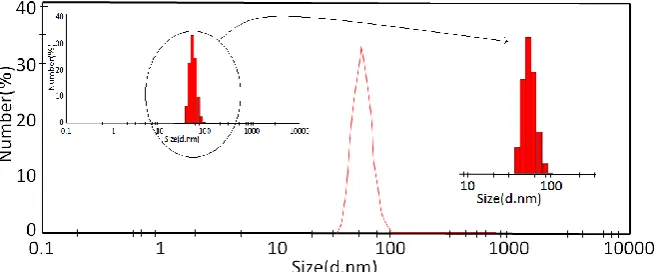 Fig. 3. SEM images of AL and LN before and after the absorption of BR2 dye