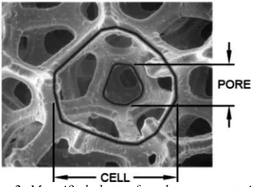 Fig. 4. Forces acting on elementary volume of fluid in rotating porous material in absolute coordinate system with elementary volume of fluid in rotating field [9] 