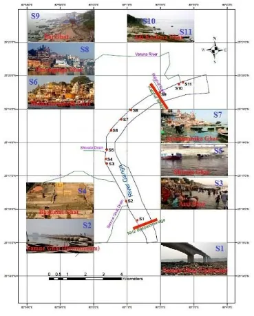 Fig. 1. Study sites at Ganga River in Varanasi 