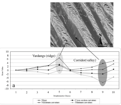 Fig. 10. a) Morphometric signatures of yardangs and corridors. (b) The 60-centimeter QuickBirde image showing the 