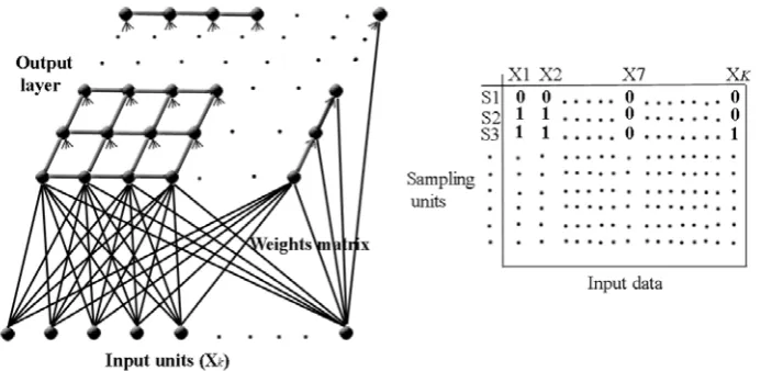 Fig. 4. Kohonen’s Self Organizing Map structure 