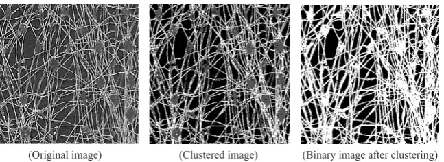 Fig. 4. Thresholding operations for S15-3 sample.