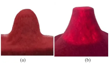 Fig. 1. Fabric deformation resulted by compression loading: (a) the quasi-gaussian status for bursting and (b) the quasi-hyperbola status for static puncture (CBR).