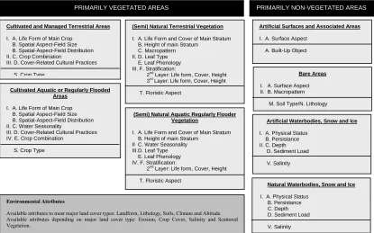 Fig. 1. The eight major land cover categories of LCCS-grouped under the primarily vegetated and primarily non-vegetated area 