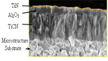 Fig.  1.  CVD coating layers of insert  