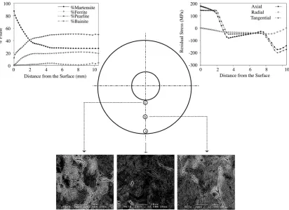 Fig.  2. Comparison of SEM micrographs with microstructural evolution predicted by computer simulation for specimen   