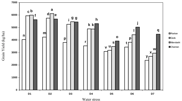 Fig. 1. The interaction of moisture stress and cultivar on grain yield  