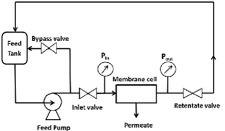 Fig. 2. Schematic diagram of the experimental set-up. 