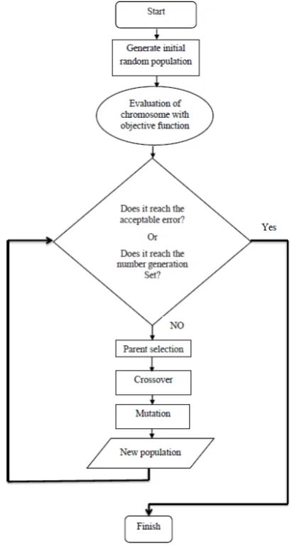 Fig. 4. Genes and chromosome.  