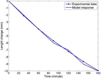 Fig. 6. Comparison between presented model result and experimental data  of length changes for sample 1
