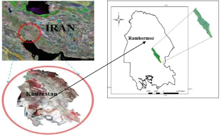 Fig. 1. Location of the study area in Khuzestan province of Iran 