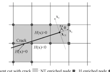 Fig. 2. Definition of the Level Set Functions ψ(X) and γ(X) around the crack  
