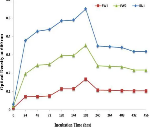 Figure 3 demonstrates the growth of three strains in 500 ppm. Compared to the control solution, the samples showed a large increase in their growth