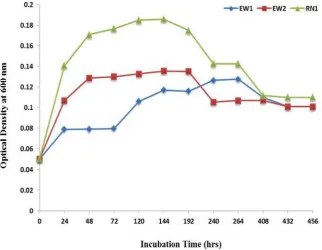 Fig. 4. Time course of growth for bacterial strains cultured in nitrate solution at 1000 ppm 